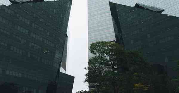 金融大数据的数据特点（金融大数据的数据特点是什么）