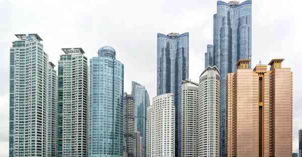 外国语单招大数据的行业文章