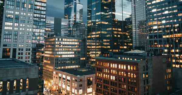 外国语单招大数据的行业文章