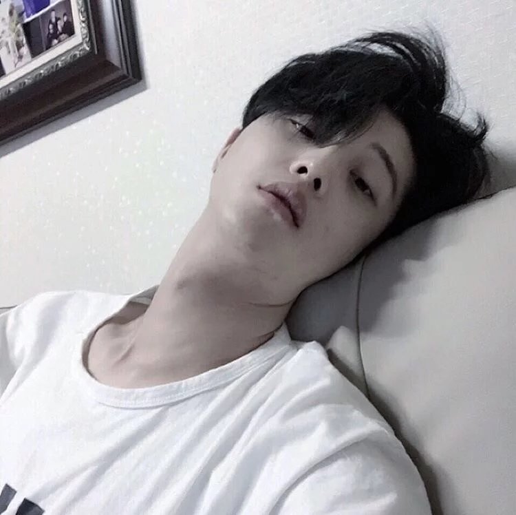 杨锦家颖
