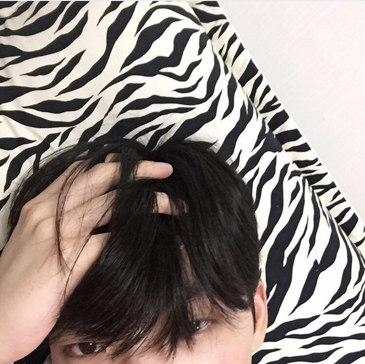 唐可媚羽