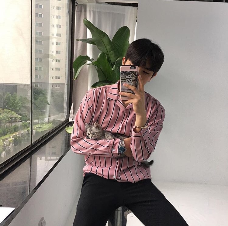 濮阳奇冠翠