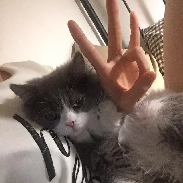 方堂琦妮