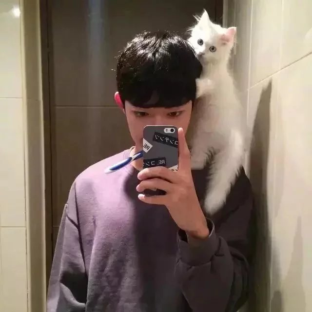 嵇菡芸惠