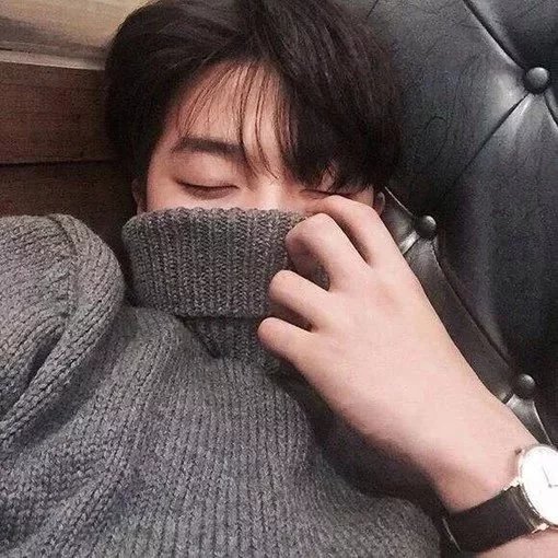 许翔泰岚