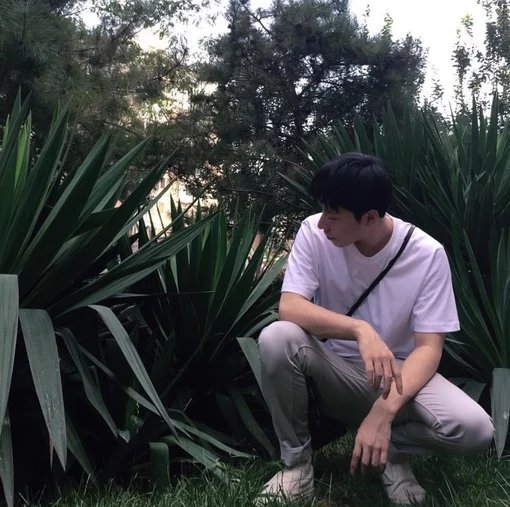 彭初诚洁