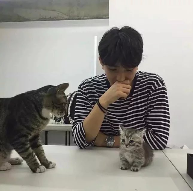 袁环安成